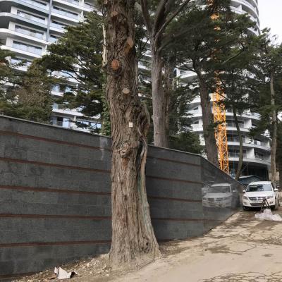 Media Share 0 02 05 31296f78b8916fd79c6b67b7c75304554b384717f0c42860d89965514c67c9da D910d6a5 Fce1 400c 97c7 172757561412